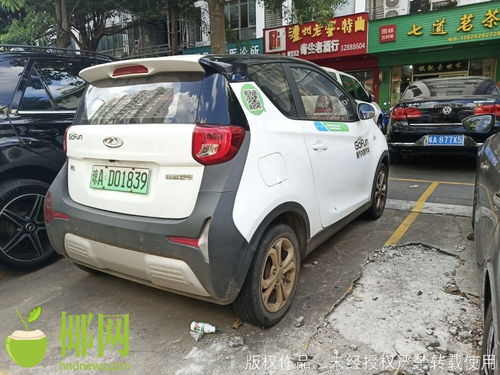 共享汽车投放海南多少钱