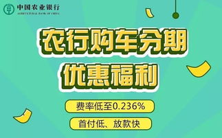 汽车分期费率一般多少
