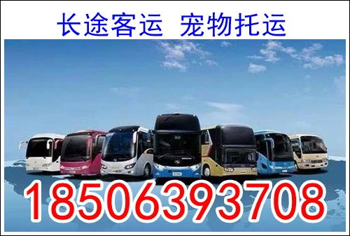 合肥到灵壁汽车多少钱