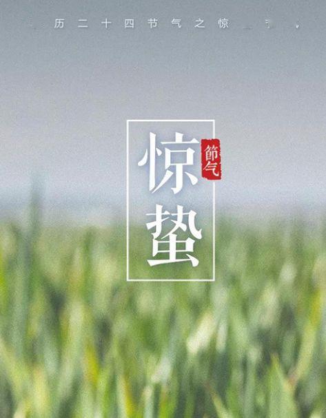 今日惊蛰：谨防这些“致命”的小东西