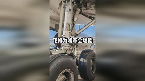 汽车能承受多少吨压力