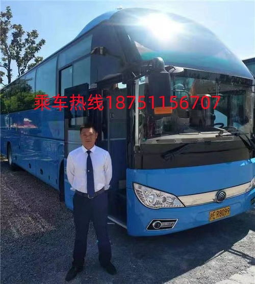 郑州到曹县汽车多少钱