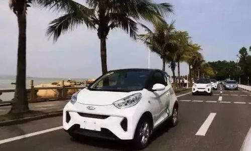 中山有多少种共享汽车
