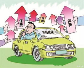 汽车上保险优惠多少