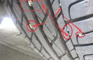 一辆汽车能用多少钢丝