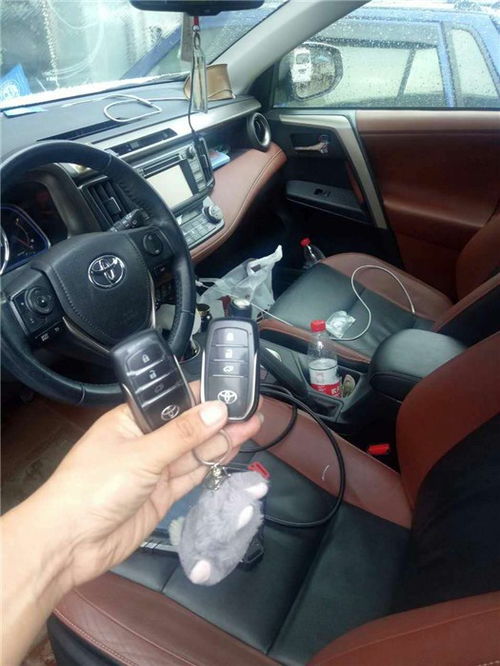 遥控小汽车多少钱一个