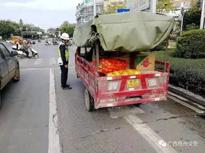 岑溪汽车到大业镇要多少