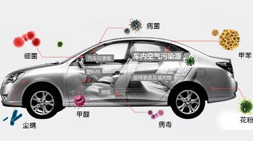 固原汽车除甲醛费用多少