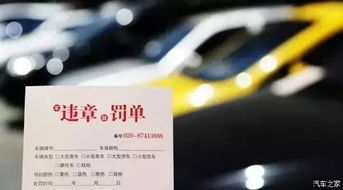 汽车违章多少天