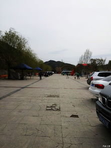 梨树湾汽车教学收费多少