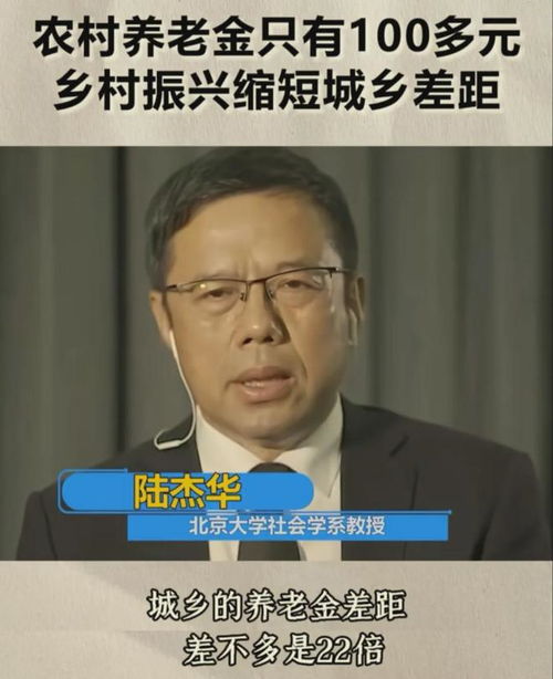 白岩松谈养老金最低标准再提20元