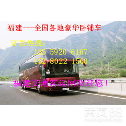 合肥龙港汽车票价多少