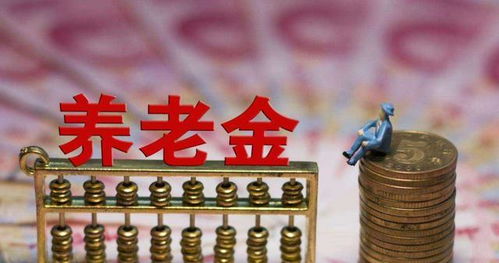 代表建议农民基础养老金提高到600
