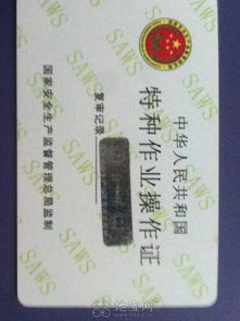汽车上岗证多少钱