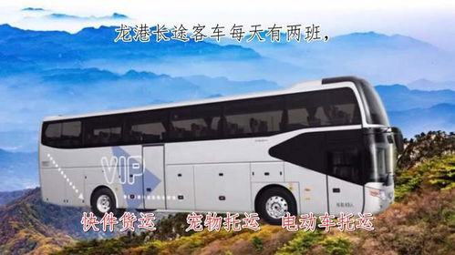 苍南到宁德汽车多少钱