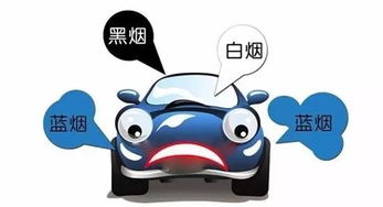 泰国汽车可以带多少烟草