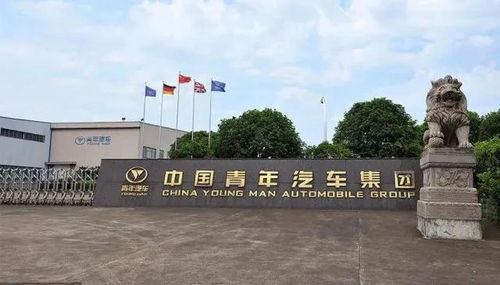 青年汽车政府投资多少