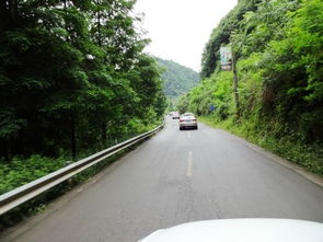 重庆汽车到利川多少公里