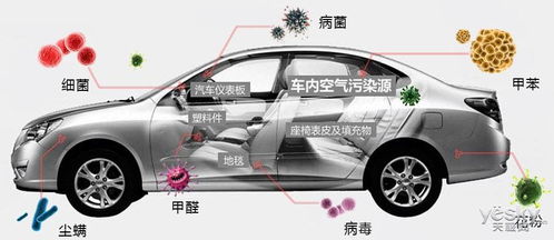 东兴汽车除甲醛费用多少