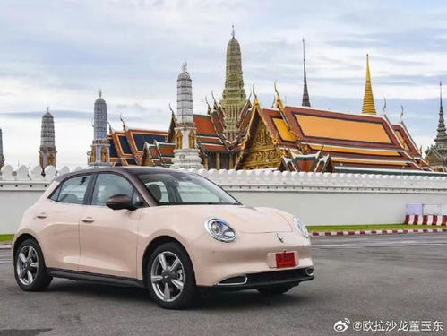 广西汽车报废率是多少