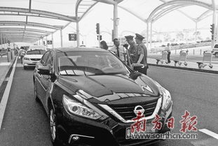 汽车违章比例是多少