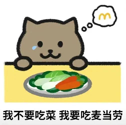 胖猫事件90多吨外卖食物被浪费