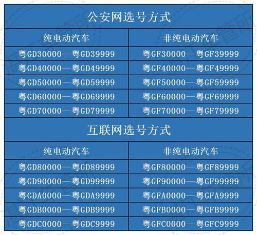 汽车选号需要多少天审核