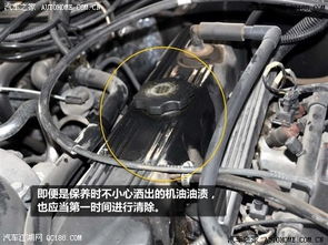 测量汽车水箱温度多少