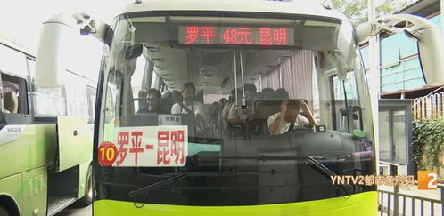 元谋到昆明汽车多少班