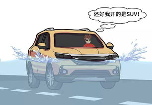 汽车倒车撞墙保险赔多少
