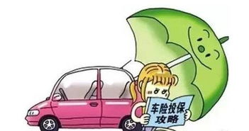 汽车可以上多少保险牌