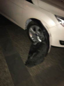 汽车遮雨板多少钱