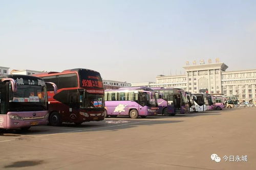 春运汽车客运涨价多少了
