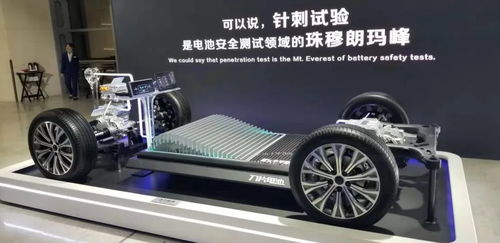 Fy什么品牌汽车多少钱