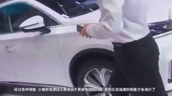 换汽车前脸多少钱