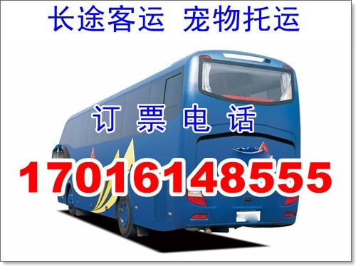 镇安到汉中汽车多少钱