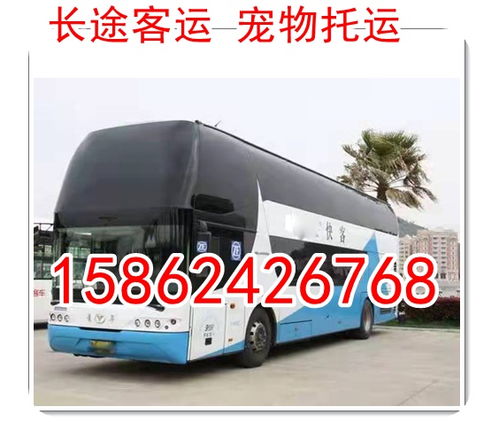 镇安到汉中汽车多少钱