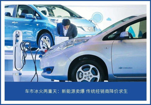 阳光汽车换油多少钱