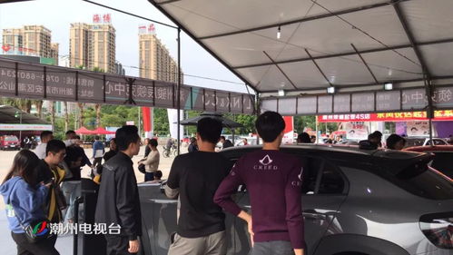 遂溪至潮州汽车多少钱