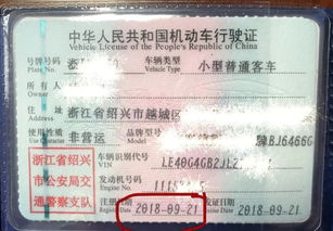 2019汽车年检多少钱