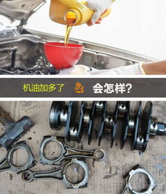 汽车减震加多少机油
