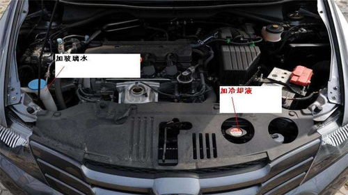 汽车加水加多少