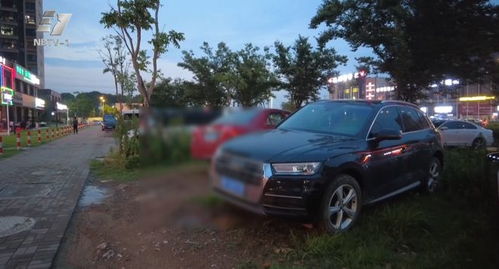 宁波汽车停草坪罚款多少