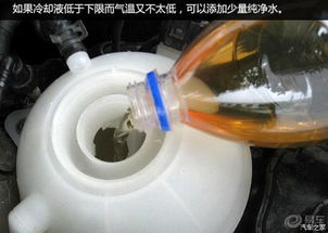 换汽车冷却液多少钱