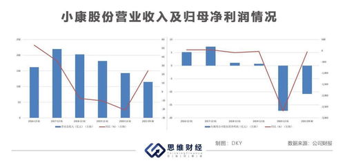 小康汽车股价多少
