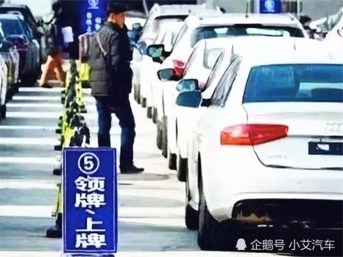 温州汽车上牌多少钱