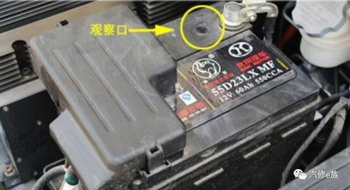 汽车电瓶冲电电压多少伏