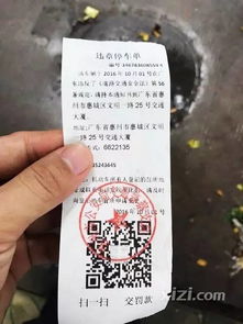 汽车罚单交多少钱啊