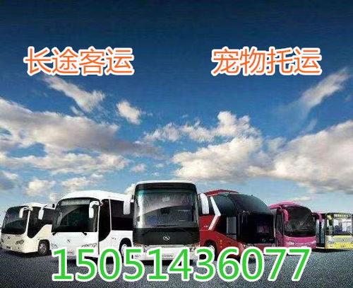 信阳到南阳汽车多少钱