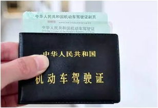 汽车驾驶证多少钱